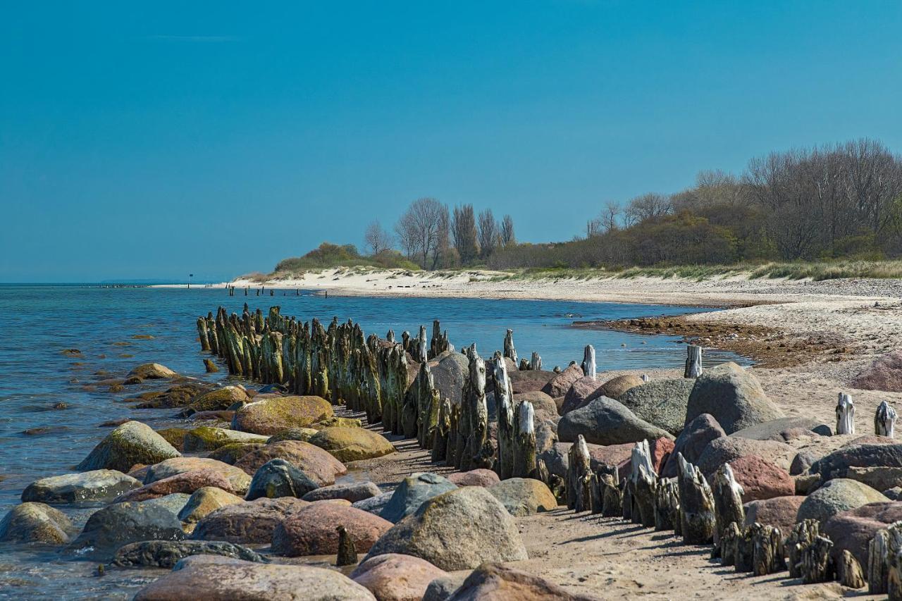 Fewo 1 Wiek auf Rügen Exteriör bild